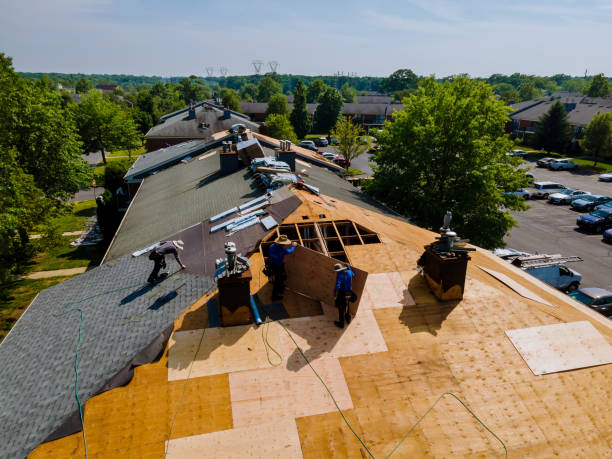 Residential Roof Replacement in Obion, TN