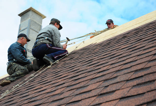 Roof Gutter Cleaning in Obion, TN