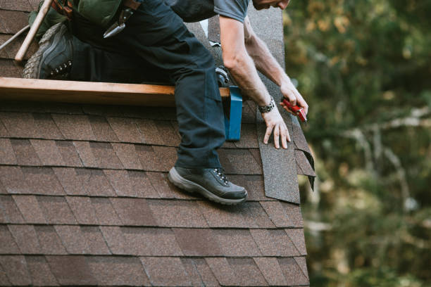 Best Roof Repair Services  in Obion, TN