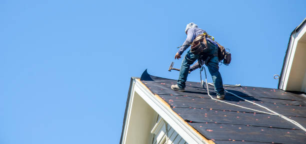 Best Roof Gutter Cleaning  in Obion, TN